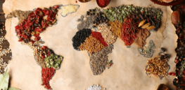 The global food system is already under stress from climate change. Here's what the future might hold