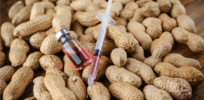 Viewpoint: Does peanut oil in vaccines cause an allergy to peanuts? That’s the latest RFK, Jr. health claim and like most others he’s wrong