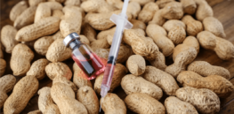 Viewpoint: Does peanut oil in vaccines cause an allergy to peanuts? That’s the latest RFK, Jr. health claim and like most others he’s wrong