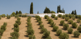 Viewpoint: Facing steep agricultural challenges, Spain turns to technological innovation