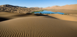 Islamic eco-systems a millennium ago supported farming in marginal desert environments but were largely abandoned. They could be sustainability models today