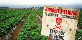 GLP spaces on X: The 'Dirty Dozen,' dissected