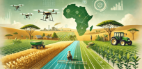 Viewpoint: Africa needs to reject commercial agriculture and embrace small farms if it hopes to address food insecurity