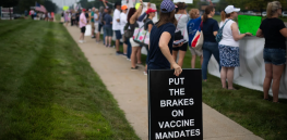Left-leaning suburban moms lurching towards health and environmental conspiracy theories