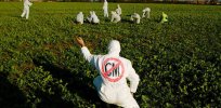 Viewpoint: Challenging the simplistic and false dichotomy between GM crops and environmental restoration