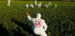 Viewpoint: Challenging the simplistic and false dichotomy between GM crops and environmental restoration
