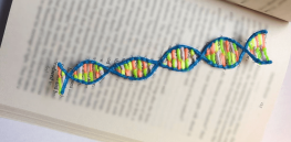 Are you a fervent reader? It’s likely genetic