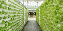 Vertical farming won’t feed the world or even the poor. So what are its advantages?