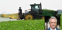 No, the modern world is not killing us–Viewpoint: RFK. Jr.'s reckless war on food and agriculture