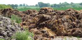 Poop is helping to feed the world. Really