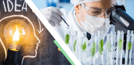 Biotechnology led to dramatic innovations in agriculture and human health in 2024