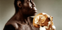 Out of Africa? Intriguing evidence that early humans may have moved from Europe into Africa not the other way around