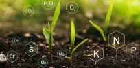 Breakthrough Institute report: ‘Why genetically engineered microbes need a pathway to market’