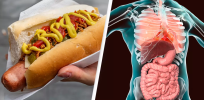 Human DNA found in some vegetarian hot dogs