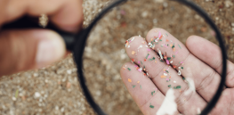 Viewpoint: Europe is rushing to regulate microplastics and activists are clamoring for the U.S. to follow suit. Good science or environmental folly?