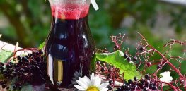 No, Elderberry is not a magic elixir