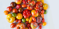 The bigger the tomato, the more likely it is to lose its taste. CRISPR is changing that