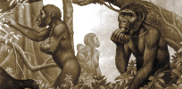 The carnivore myth? One study challenges the long-held belief that our human ancestors were mostly meat eaters