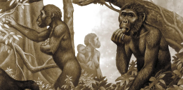 The carnivore myth? One study challenges the long-held belief that our human ancestors were mostly meat eaters