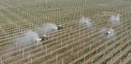 China is one year into its 5-year plan that it hopes will establish it as the global epicenter of agricultural gene editing. Here's an update