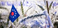 European Union edges closer to fast-tracking gene edited crop approvals, debating plan to shelve activst and organic industry-supported patent restrictions