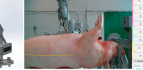 Meat processors are making the move from simple automation systems to smart robots and AI. Here's why