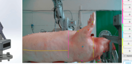 Meat processors are making the move from simple automation systems to smart robots and AI. Here's why
