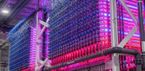 ‘It’s a new way to think about food production’—Growing algae on Iceland’s futuristic farm
