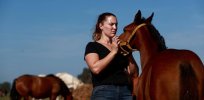 In global first, Argentina gallops ahead of other western countries in producing Crispr horses and other animals