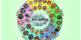 Towards a bio-based economy: Turning agricultural biowaste into safer agro-chemicals and additives