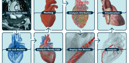 'Digital twins': 3-D digital organs are poised to revolutionize medical treatments
