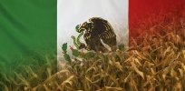 Facing Trump administration trade threats, Mexico rescinds import ban on GMO corn and glyphosate, saying its research has 'failed to show' they are hazardous