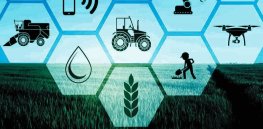 Viewpoint: For European farming to innovate, patents are critical