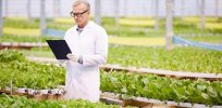 England poised to approve the growing of gene edited crops in greenhouses and fields