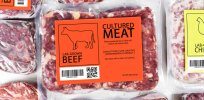 Consumer resistance to technology tweaking food: Brits remain skeptical about cell-based meats