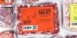 Consumer resistance to technology tweaking food: Brits remain skeptical about cell-based meats