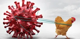 Viewpoint: ‘This is Hollywood science, not real science’ — RFK, Jr.'s 'plan' to let avian flu 'run through the flock' courts a catastrophic, global pandemic