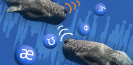 ‘Impressive’ and ‘humbling’: Whale language skills equal and even surpass human speech capabilities in some ways