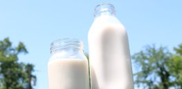 GLP Spaces on X: Raw milk—a crunchy, countercultural food fad goes right wing