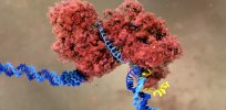 The miracle hype about the boundless potential of CRISPR gene editing in medicine is beginning to fade