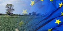 Gene edited crops inch closer to acceptance as outlined in the European Commission’s new blueprint for the future