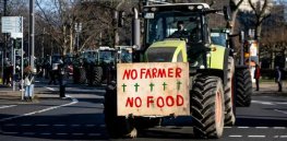 Viewpoint: Food security vs. sustainability aspirations—Reality hijacks European Green Deal advocates