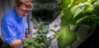 Cosmic cuisine: Synthetic biologists are exploring cellular agriculture to grow food in space