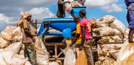 Kenyan lower court bans importation of genetically modified (GM) foods
