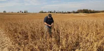 'Tariffs on China could put me out of business': Trump-supporting farmers panicked by erratic trade flip flops pleads for a quick deal