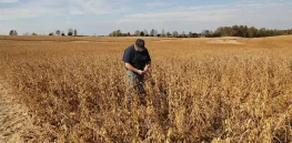 'Tariffs on China could put me out of business': Trump-supporting farmers panicked by erratic trade flip flops pleads for a quick deal