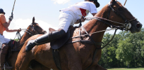 'Super horses': Newly engineered gene-edited equestrian racers are faster and more agile