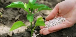 Nanomedicine techniques are being redeployed to accelerate transition to more sustainable farming