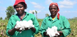 Kenyan government announces action plan to counter activist GMO misinformation