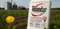 Viewpoint: Scientist defends the safety of glyphosate—and explains why that matters